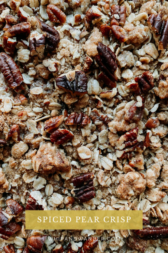 closeup of pecans and old fashioned oats, spices, and brown sugar that comprise a crisp topping