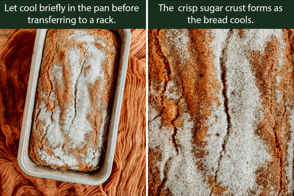 Apple cider donut bread cooling in a pan with a crackly sugar crust on top.